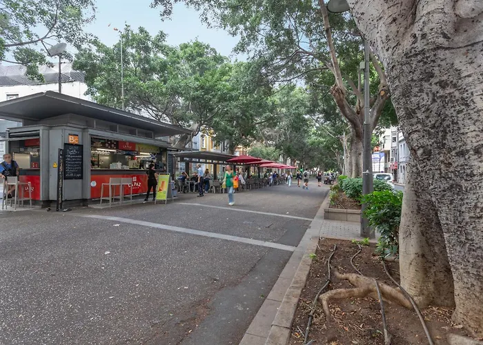 Estudio Centrico Cruz *